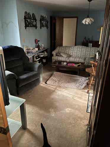 Looking for a roommate, great place