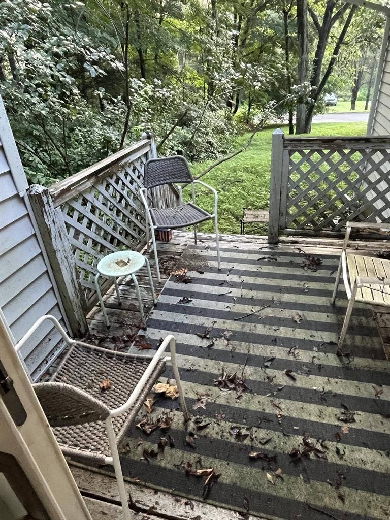 Looking for a roommate, great place