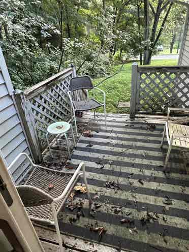 Looking for a roommate, great place