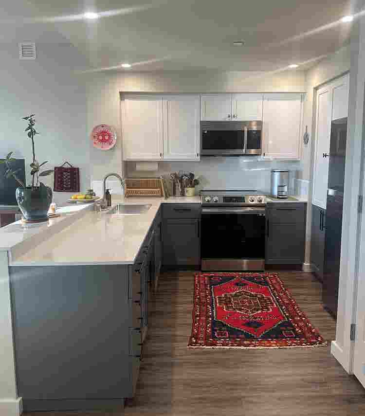 Female Roommate Wanted for b