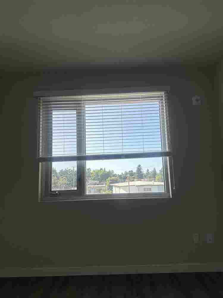 Female Roommate Wanted for b