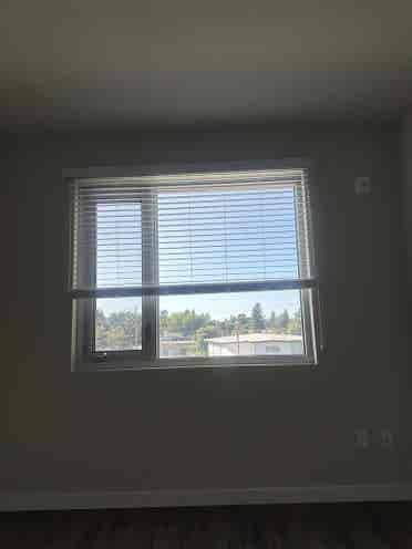 Female Roommate Wanted for b