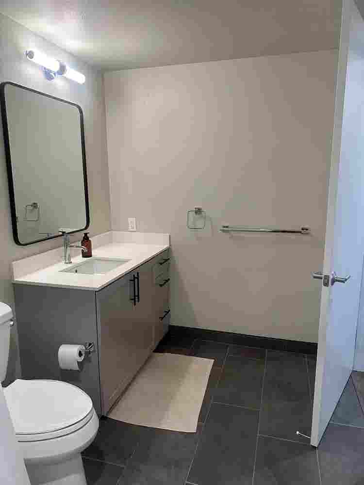 Female Roommate Wanted for b