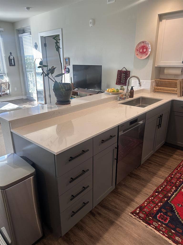 Female Roommate Wanted for b