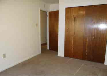 Looking for roommatees