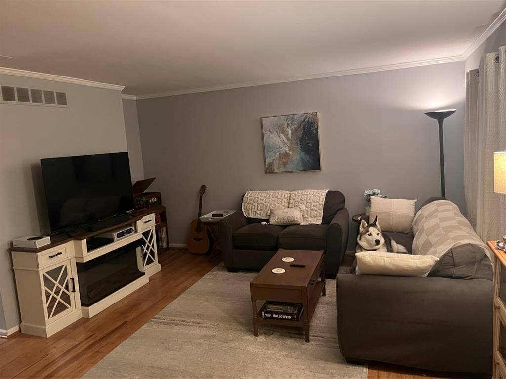 Looking for roommatees