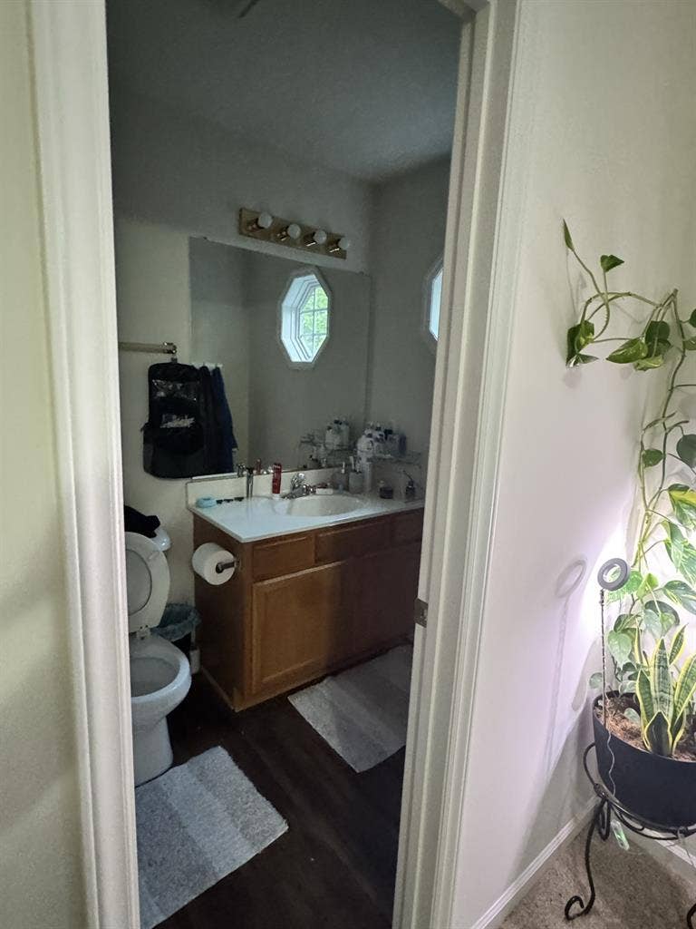 Roommate Wanted for Nice House!