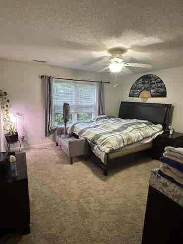Roommate Wanted for Nice House!