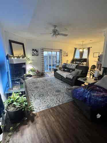 Roommate Wanted for Nice House!