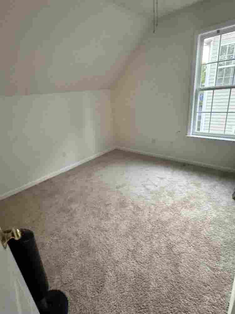 Roommate Wanted for Nice House!