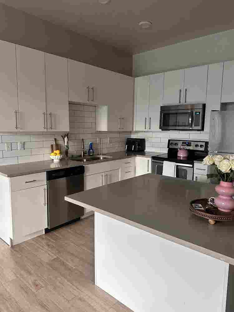 fun
 roomate needed for slc b