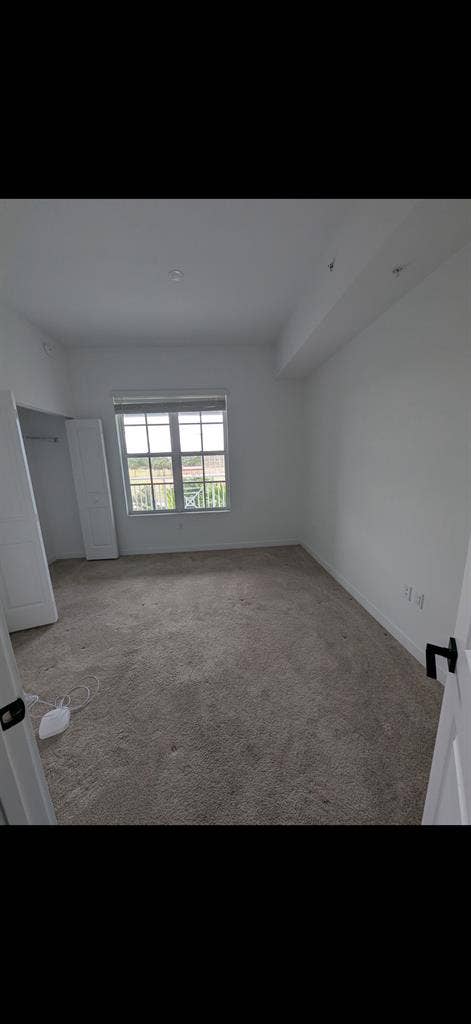 Looking for Roommate