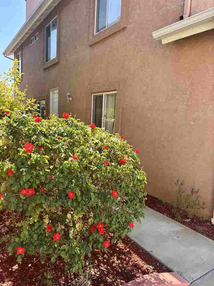 Immaculate 4bdr Home in El Cajon