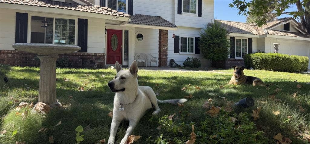 Quiet and secure neighborhood