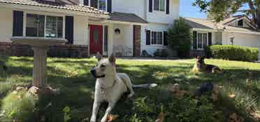Quiet and secure neighborhood