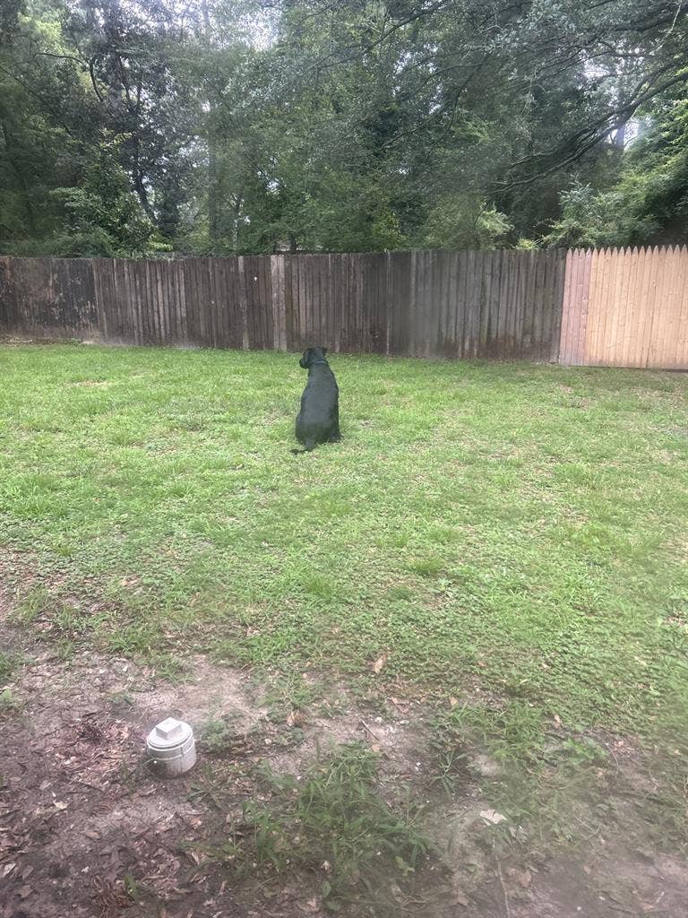 Seeking woman roommate!