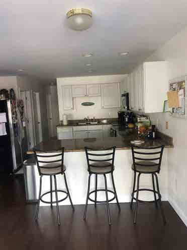 🌺Female Roommate Wanted🌺