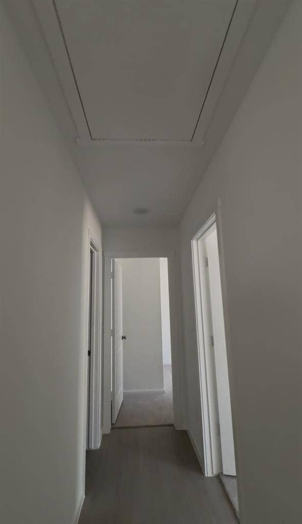 Room/s for Rent