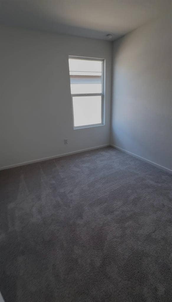 Room/s for Rent