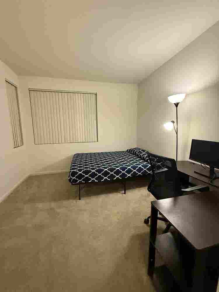 Roommate wanted!