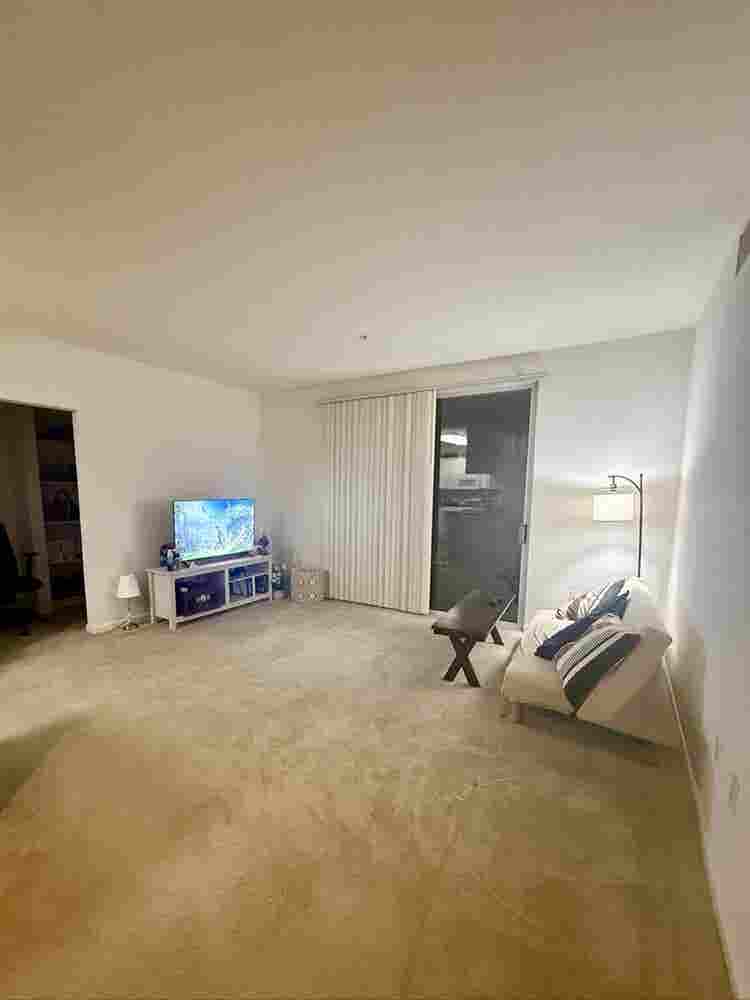 Roommate wanted!