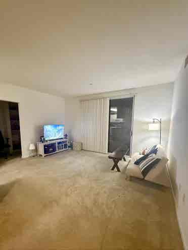 Roommate wanted!