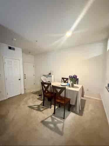 Roommate wanted!