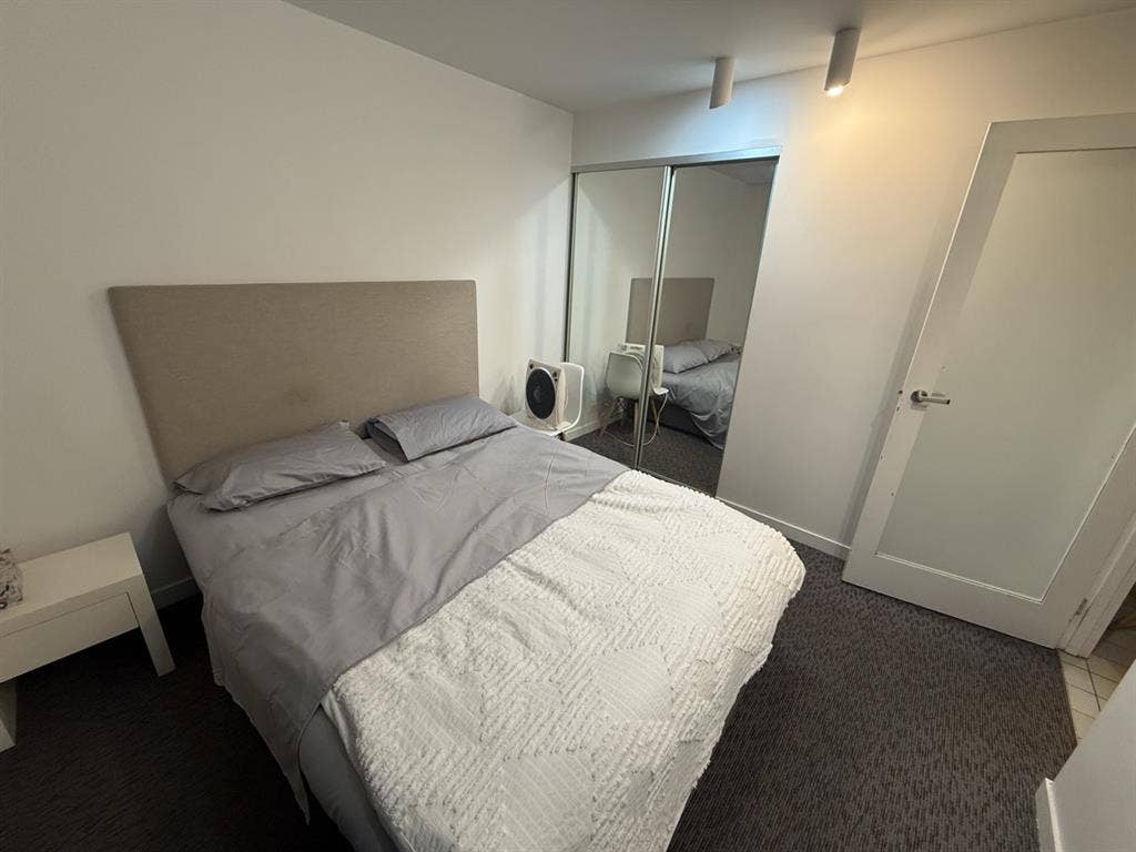 Looking for a roommate