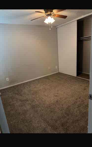 Roommate needed