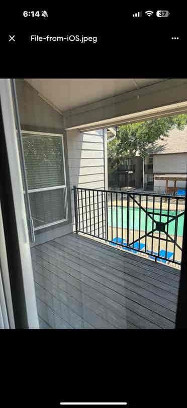 Roommate needed