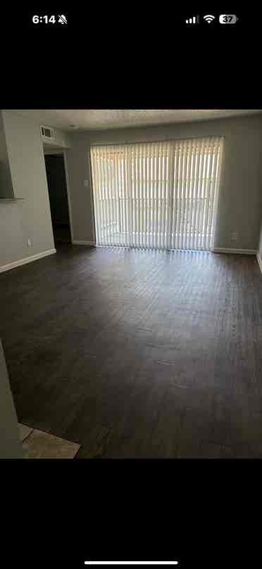 Roommate needed