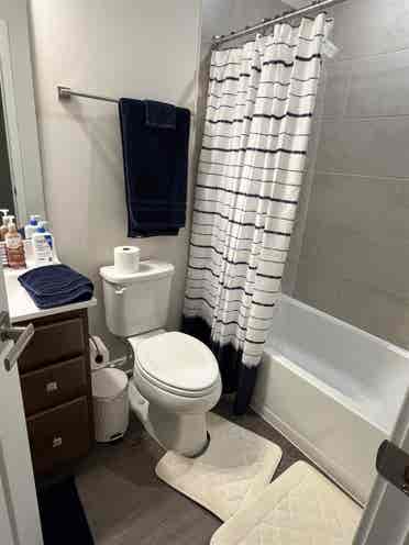 Looking for roommate!