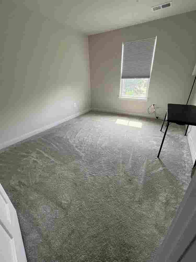 Looking for roommate!