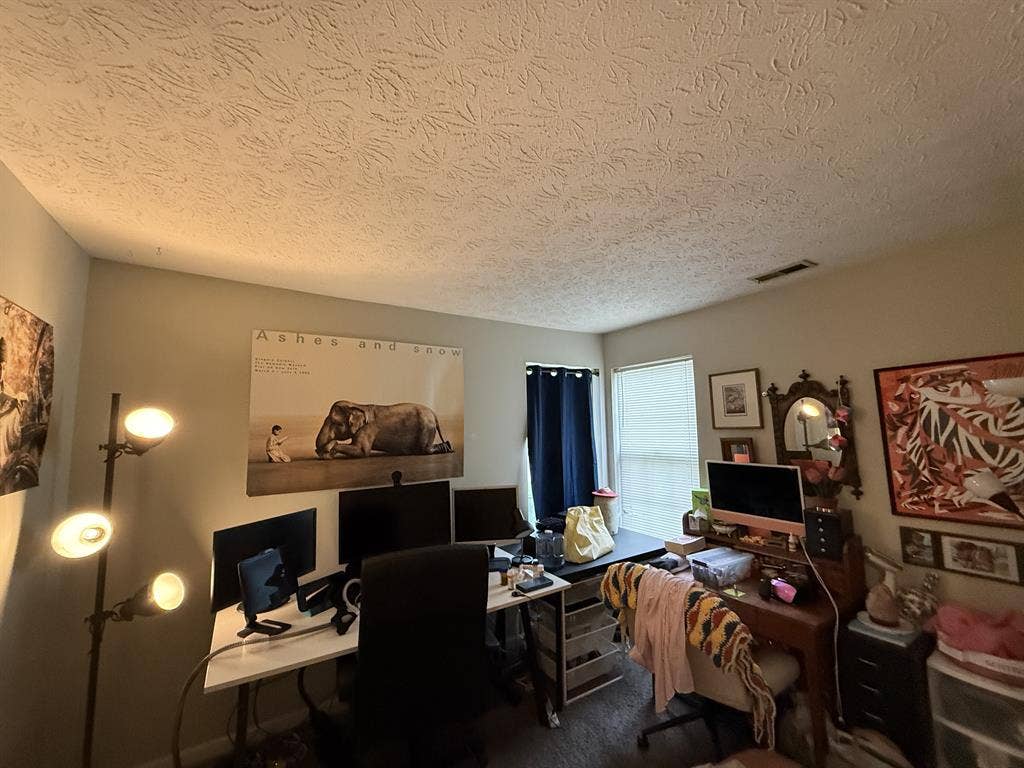 Lakeside Condo with Room Mate