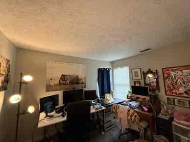 Lakeside Condo with Room Mate