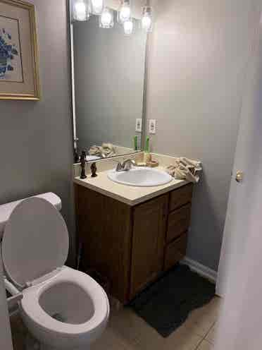 Lakeside Condo with Room Mate