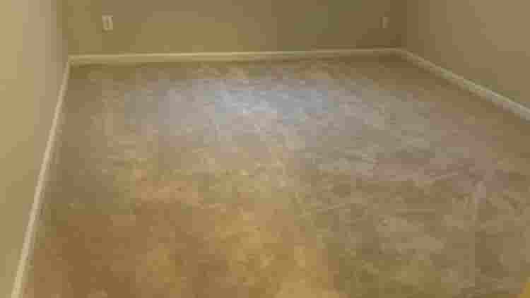 5 BR in Morrisville