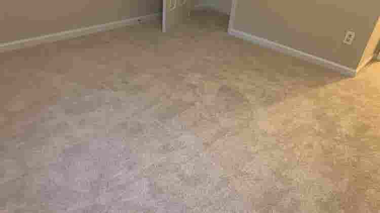 5 BR in Morrisville