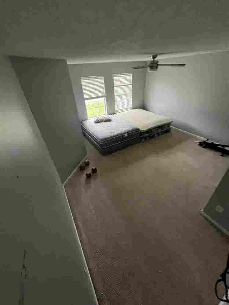 Furnished Room/House 
For Rent