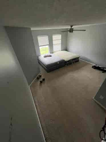 Furnished Room/House 
For Rent