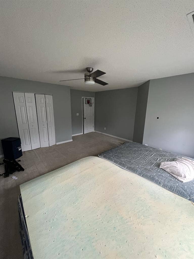 Furnished Room/House 
For Rent