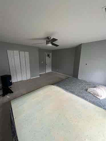 Furnished Room/House 
For Rent