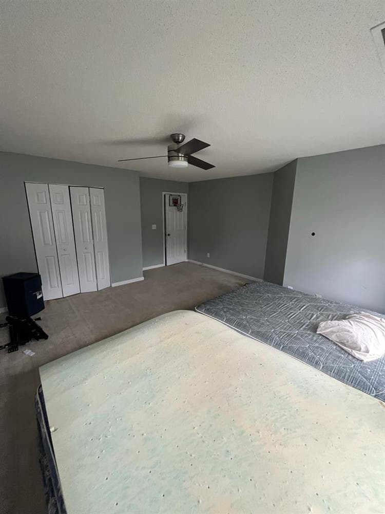Furnished Room/House 
For Rent