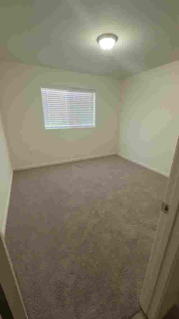 Cozy Guest Bedroom for Rent