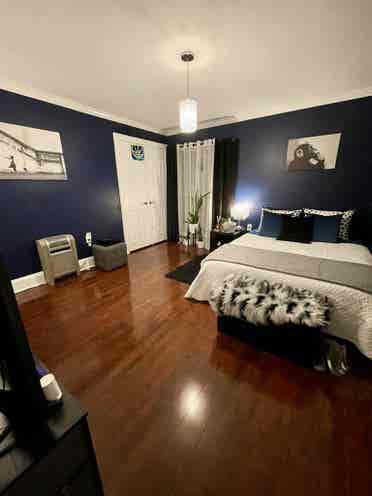 Spacious Penthouse Room