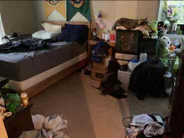 Room for rent shared living space