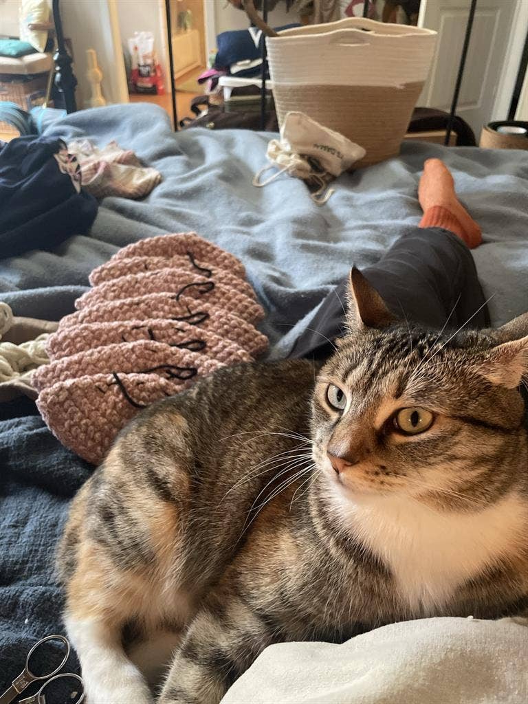 We need a new roomie!