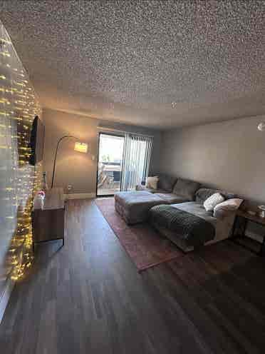 Room for rent!