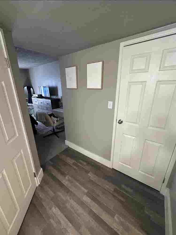 Room for rent!