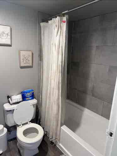 Room for rent!